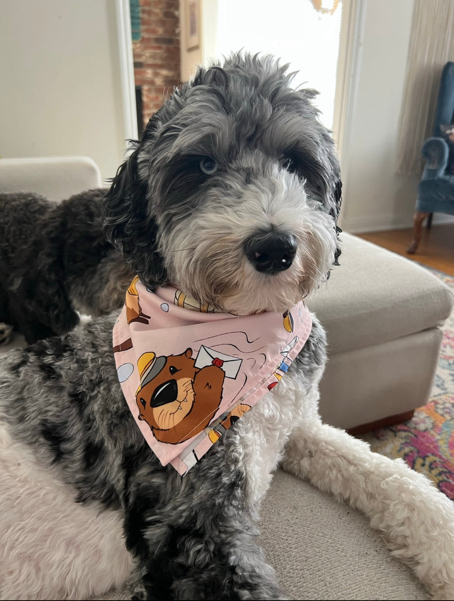 Crescent City Otter Bandana - Licensed – Royal Coven